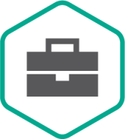 Kaspersky Remote Quick Start Service – One Hour